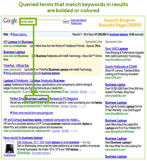 Queried terms that match keywords are bolded or colored in search results